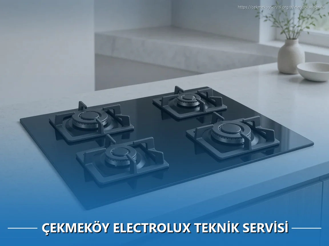 Çekmeköy Electrolux Teknik Servisi